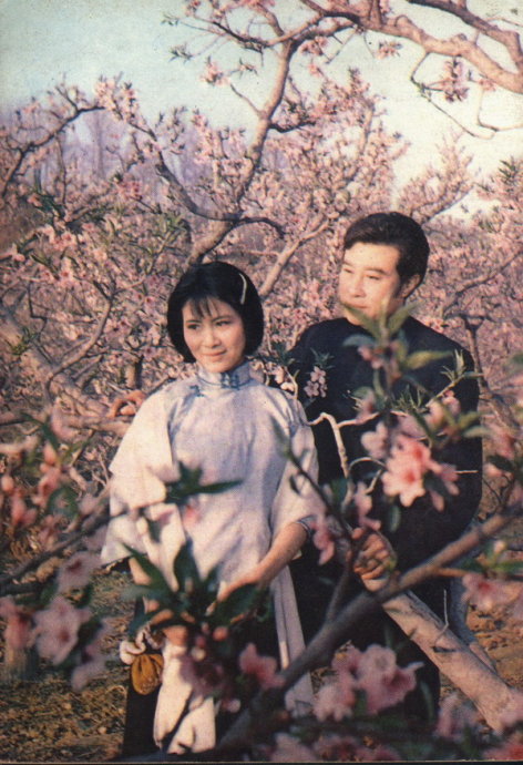 {賭馬}(伤逝电影简介)