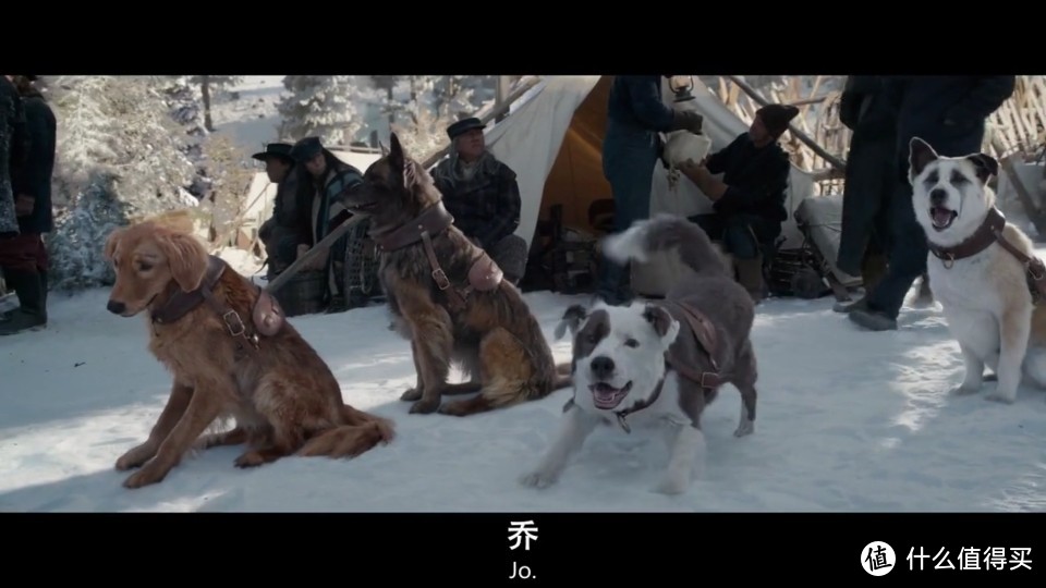 {百家樂}(野性的呼唤读后感)